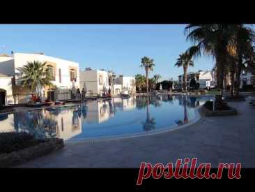 Amphoras Blu Resort 4*  (Ex Shores Aloha Resort) 🏖️ Египет 2025 ШАРМ ЭЛЬ ШЕЙХ