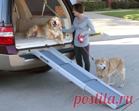 Solvit Triscope Pet Ramp: Amazon.co.uk: Pet Supplies