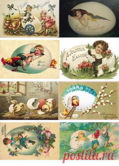 shop_items_catalog_image1467.jpg (429×600)