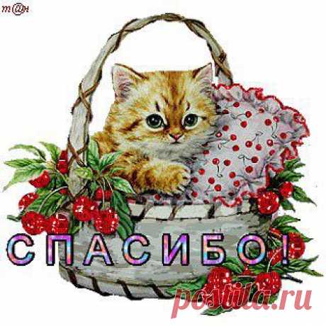 (48) Одноклассники