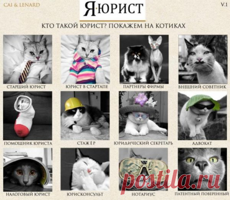 (7) СКАЖИТЕ, ПОЖАЛУЙСТА, КОГДА ЮРИСТЫ САЙТА 911 БУДУТ ЗНАТЬ ЗАКОНЫ РОССИИ? КОНЧАЙТЕ ВРАТЬ! -...