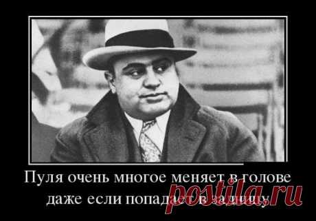 Демотиваторы / Приколы