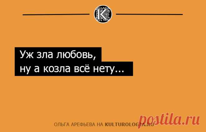 20 ироничных одностиший Ольги Арефьевой об отношениях полов