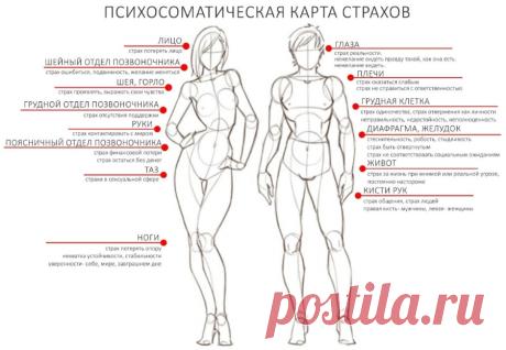 ТЕЛЕСНАЯ КАРТА СТРАХОВ.