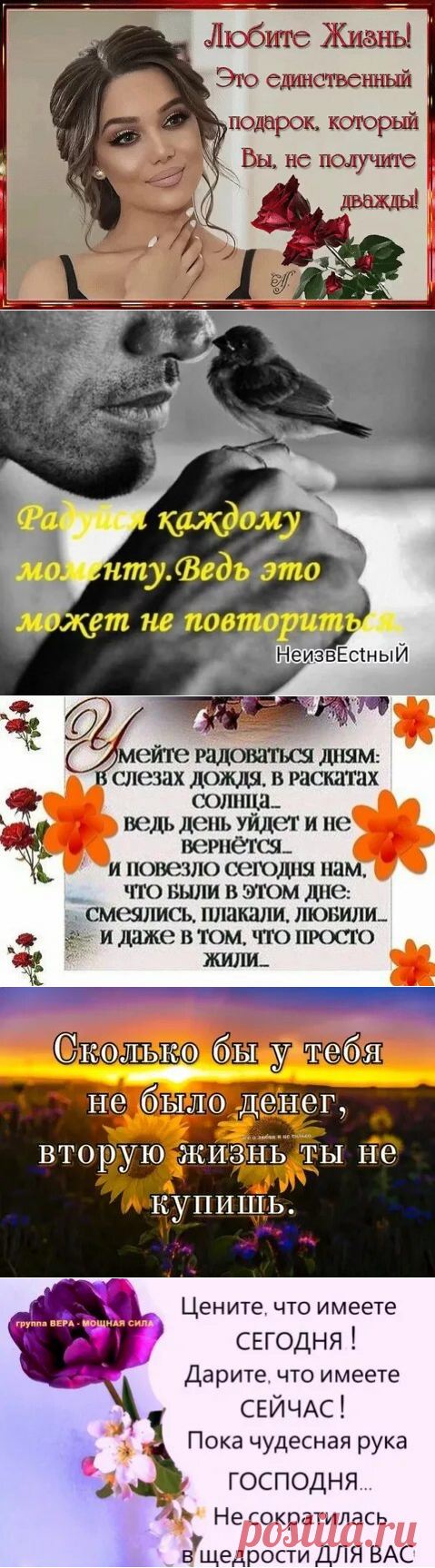 Любите жизнь! Это единственный подарок, который не получить нам дважды: 1 тыс изображений найдено в Яндекс Картинках