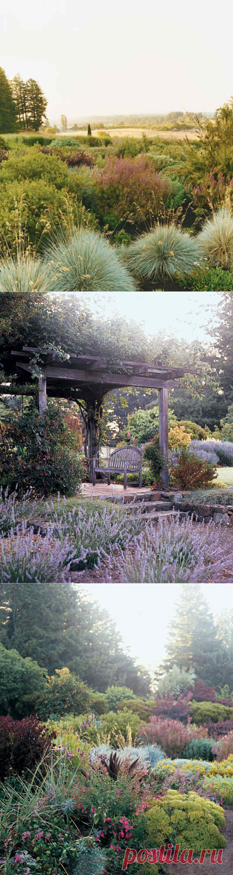 The Reids' Extraordinary Garden | Martha Stewart