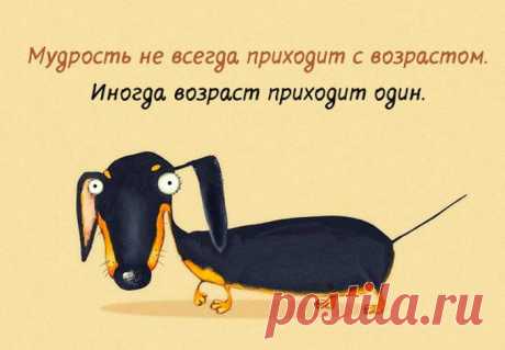 30 открыток с интересными мыслями