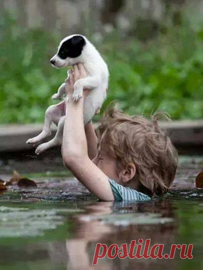 The small boy has the power to save his dog!!
Worst Floods Catastrophe!!! 
SERBIA AND BOSNIA NEED YOUR HELP!!!