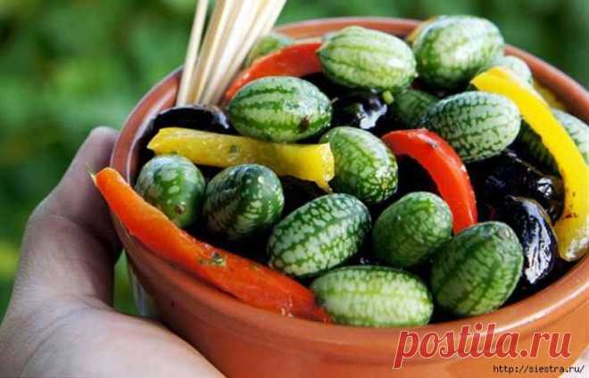 Посадите огурец арбузный - вкуснятинка с огорода