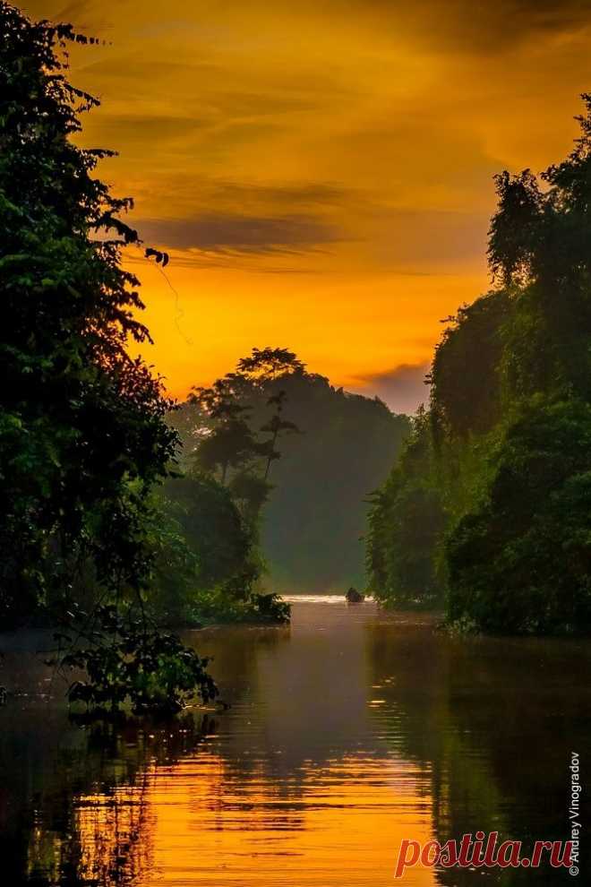 Belle nature