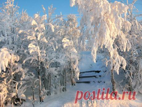 (49) Одноклассники