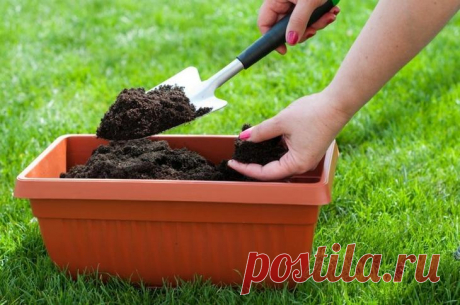 20 применений кофейной гущи, о которых вы не знали