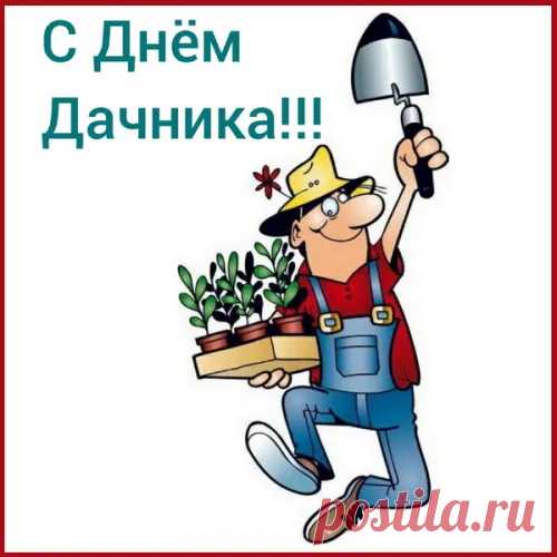 С днем дачника поздравляю,
Получать плоды своих трудов желаю.
Ярко красных помидор,
Чтобы никто не лазил через забор.