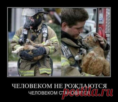 Фотографии Инна Скрицкая - 2488 фото в Моем Мире.