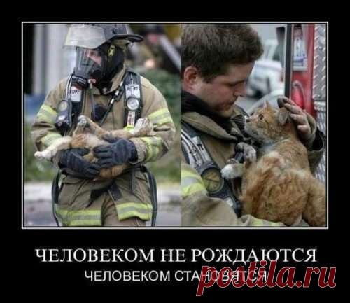 Фотографии Инна Скрицкая - 2488 фото в Моем Мире.