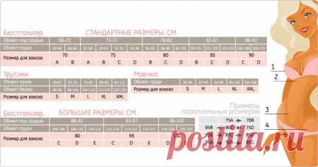 Выкройка бюстгальтера большого размера.
