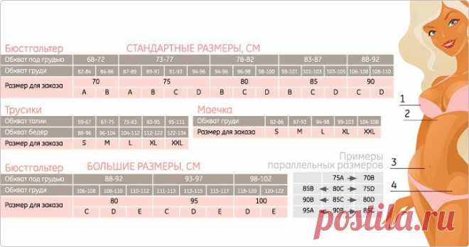 Выкройка бюстгальтера большого размера.