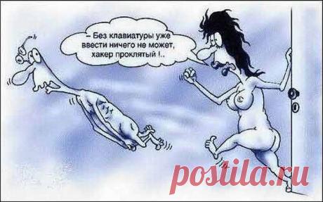 ЮМОР-ПОРТАЛ ▒ВИДЕО ツ☞ ФОТО ツ☞ ПРИКОЛЫ▒⎝⏜⏝⏜⎠
Андрей Рогальский