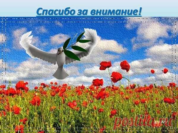 Доброта-великое качество человечества.