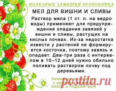 Одноклассники