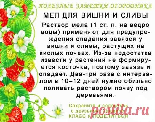 Одноклассники