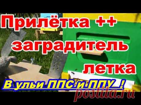 Прилётная доска + Заградитель летка в УЛЬИ из ППС и ППУ  Своими руками ! - YouTube