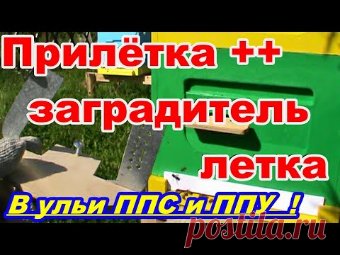 Прилётная доска + Заградитель летка в УЛЬИ из ППС и ППУ  Своими руками ! - YouTube