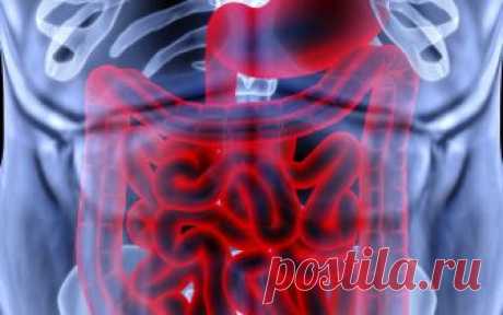 Ешьте это на ужин 3 дня подряд! Вы будете удивлены, что выйдет из вашего организма!