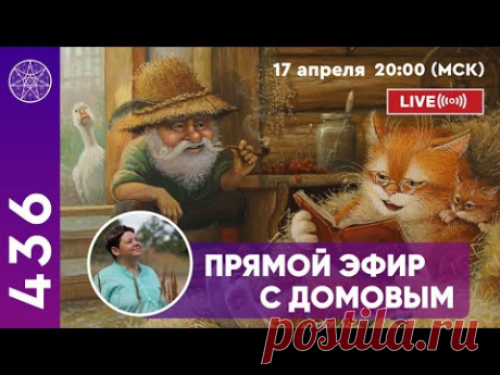 Прямой эфир с ДОМОВЫМ.