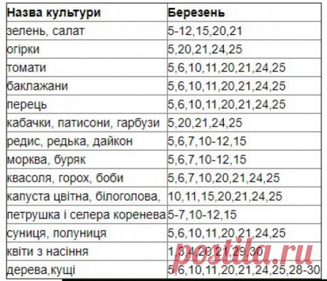 Лунный посевной календарь на март 2021 - когда сажать рассаду в Украине | РБК Украина