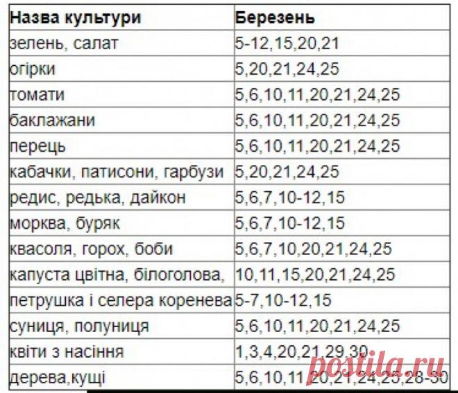 Лунный посевной календарь на март 2021 - когда сажать рассаду в Украине | РБК Украина