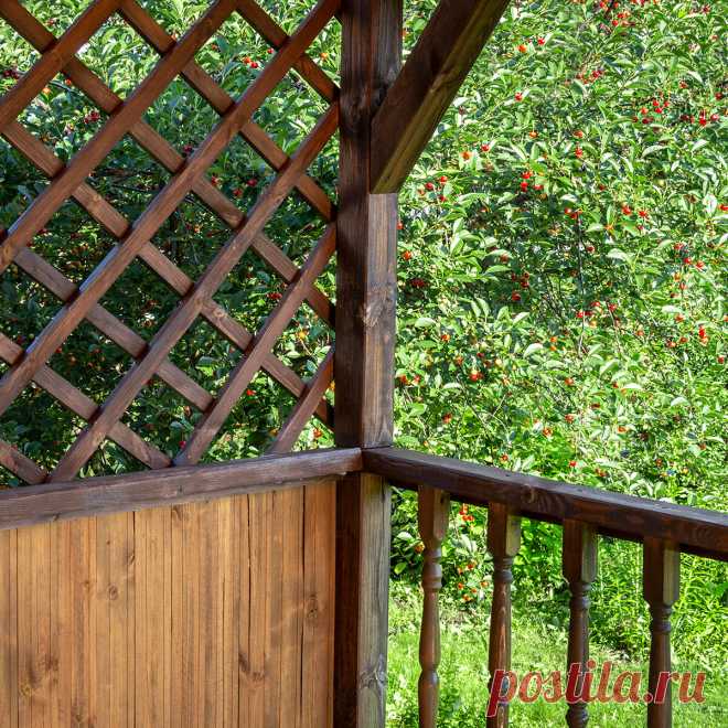 5 причин выбрать Защитный состав 2-в-1 БИОТЕКС для дачи | БИОТЕКС | ПромоСтраницы