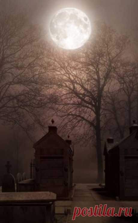 Full Moon Girl