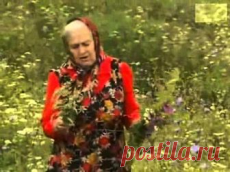 Советы и подсказки Зайцевой Е.Ф.