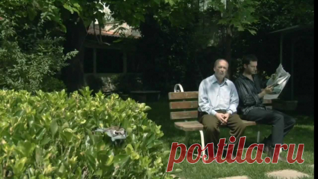 Очень трогательная притча "Воробей" о родителях и детях » Женский Мир