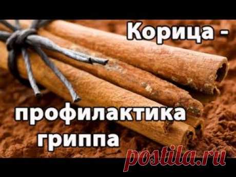Как никогда не болеть гриппом и простудными заболеваниями?