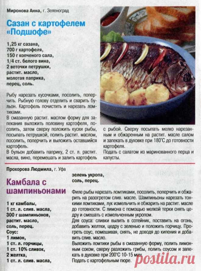 Сазан с картофелем "Подшофе". Камбала с шампиньонами
