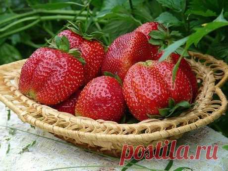 (2) Одноклассники