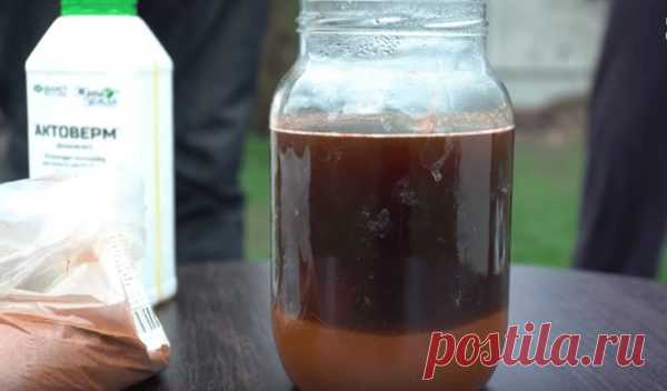 Рабочий раствор из самых простых трав: заменят химию на огороде и в саду Тема удобрений несомненно всегда будет актуальна для тех, у кого есть комнатные растения, дача или огород, ведь все хотят получить