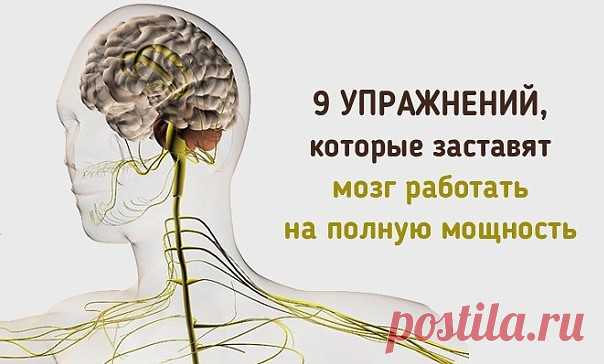 Кинезиологических упражнений разработано немало - я отобрала из них только те, которые удобно выполнять в положении сидя, в том числе во время работы на компьютере. А в том, что они действительно помогают, у меня нет ни капли сомнения, иначе бы я их давно забросила, а так уже на протяжении длительного времени прибегаю к ним ежедневно, благо они несложные и не требуют временных затрат.
Эти упражнения можно выполнять и взрослым и детям, они бодрят, тонизируют, снимают устало...