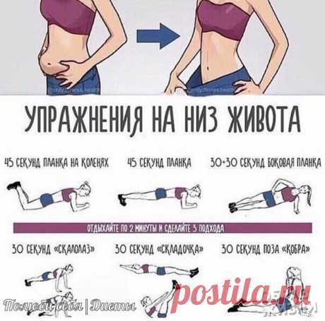 #правильноепитание #зож #фитнес #диета #здоровье