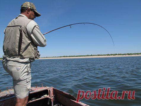 Борьба с «усатым бонусом»