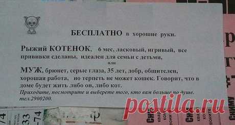 Интересные новости