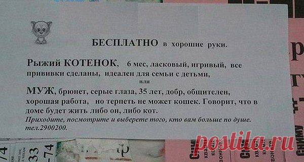Интересные новости