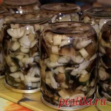 Маринуем очень вкусные грибы сами. Больше магазинные моя семья не покупает!