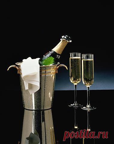 Забавные факты об алкогольных напитках