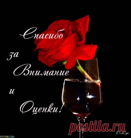 oi_3d1331211eb54d45bed31d48ea47e1d9_big.jpg (569×600)