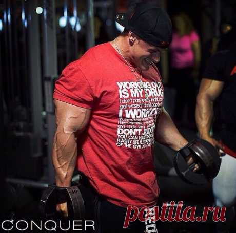 Сделай тело идеальным,потом тело сделает твои мечты реальностью. / Абсолютное здоровье