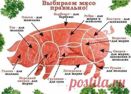 выбираем мясо свинины
Фото 20311, альбом Фото группы - 18666 фото | Фотографии ツГотовим вкусно!
