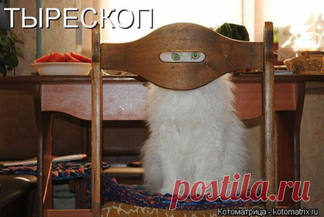 Точно!